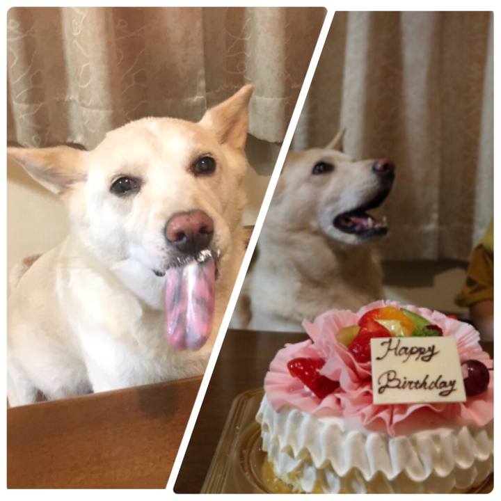 D784ab39 7f24 4162 9054 9a89aef36b83 1535465701914