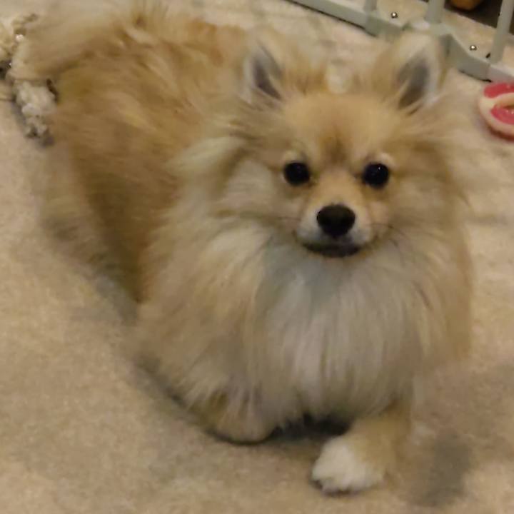 D784b848 2c3d 4738 9122 a04c58160be9 1738470717405