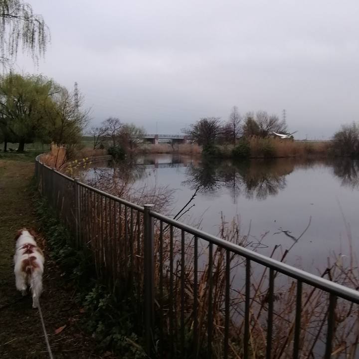 D784dfac 55b3 4722 b154 e09afc148cb1 1616716031385