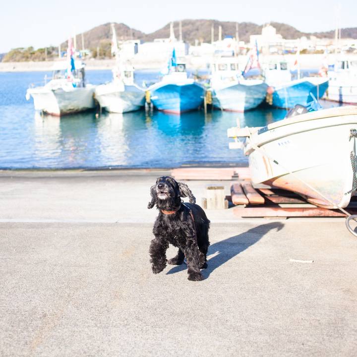 D7854ebb fec2 4244 a44d 025e9cebad36 1577880257798