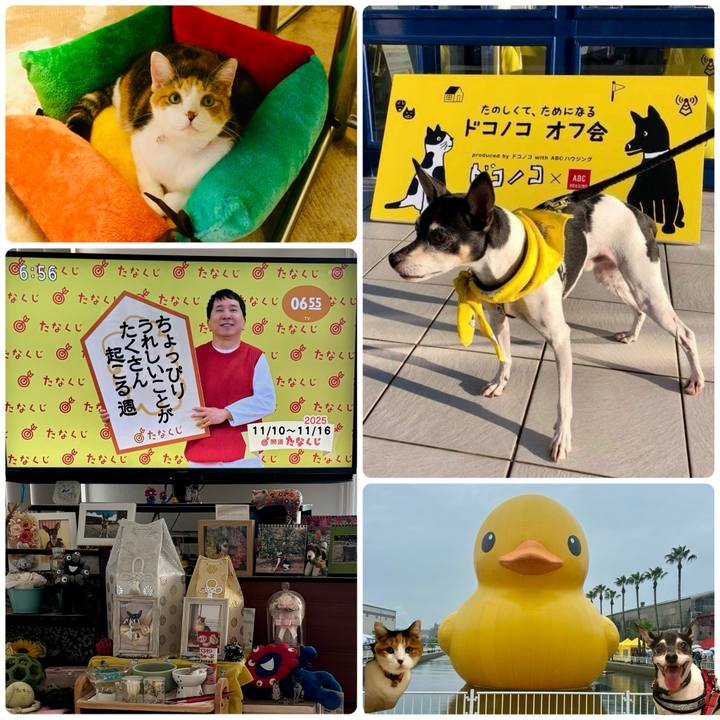 D7858f36 8e79 46b2 87ed e22989d68333 1762726180384