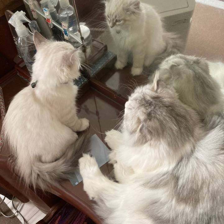 D785d50a 11e3 4e9f b8f4 85225c22478d 1667381616465