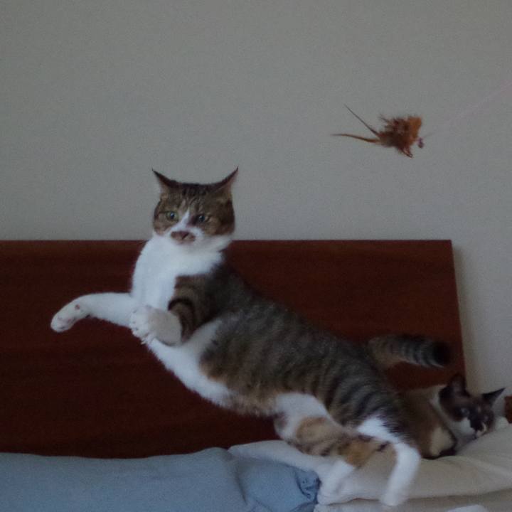 D785e508 628c 46b0 aa49 632857d5aa80 1603764104906