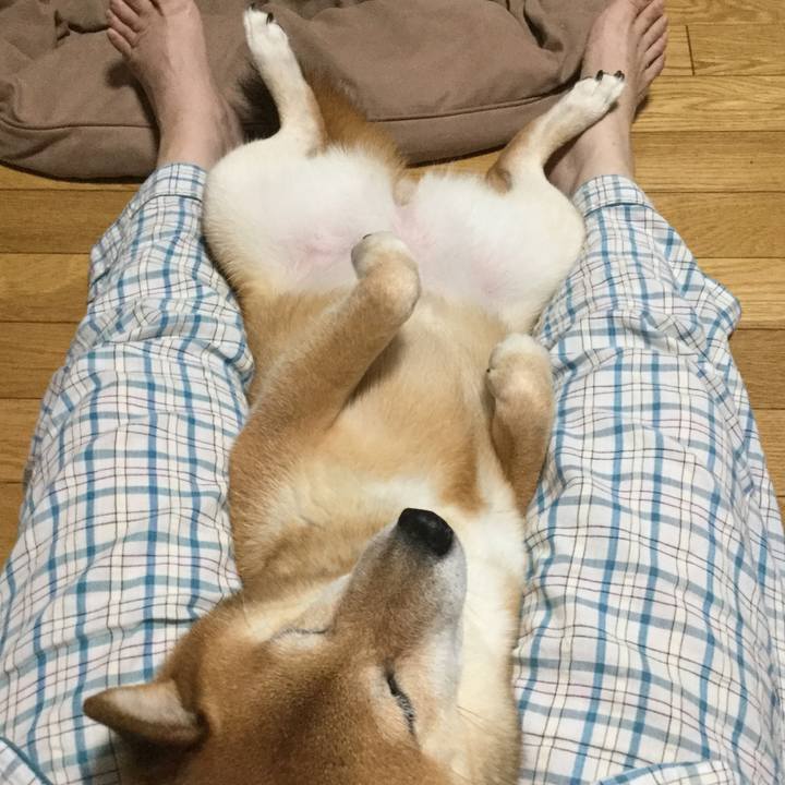 D785f257 9f02 40d9 923b 8711288704b8 1566993940670