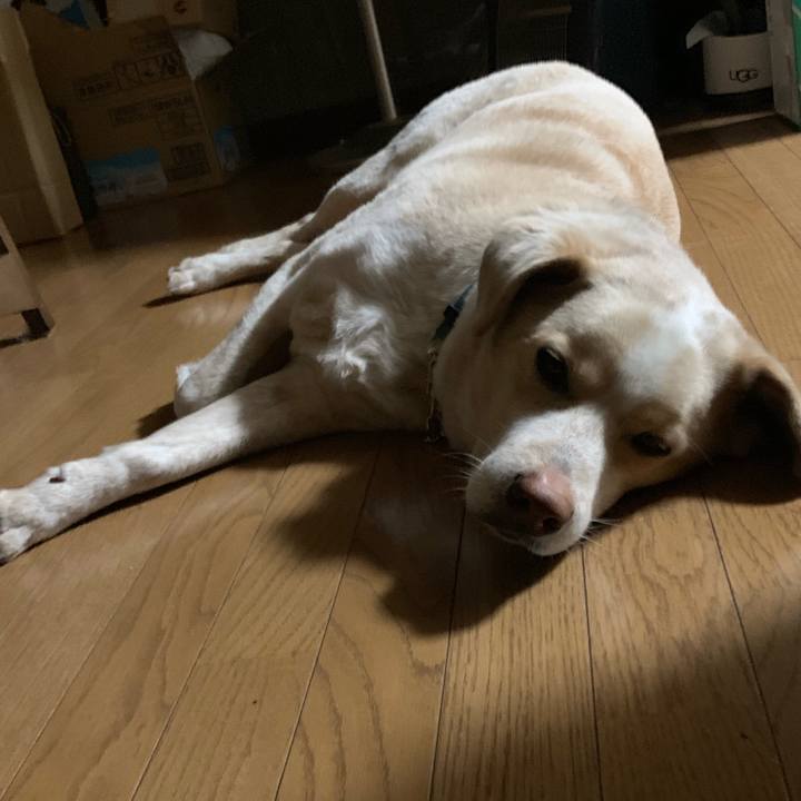 D785fa47 b88d 4a09 859e abf283cf63af 1556971076867