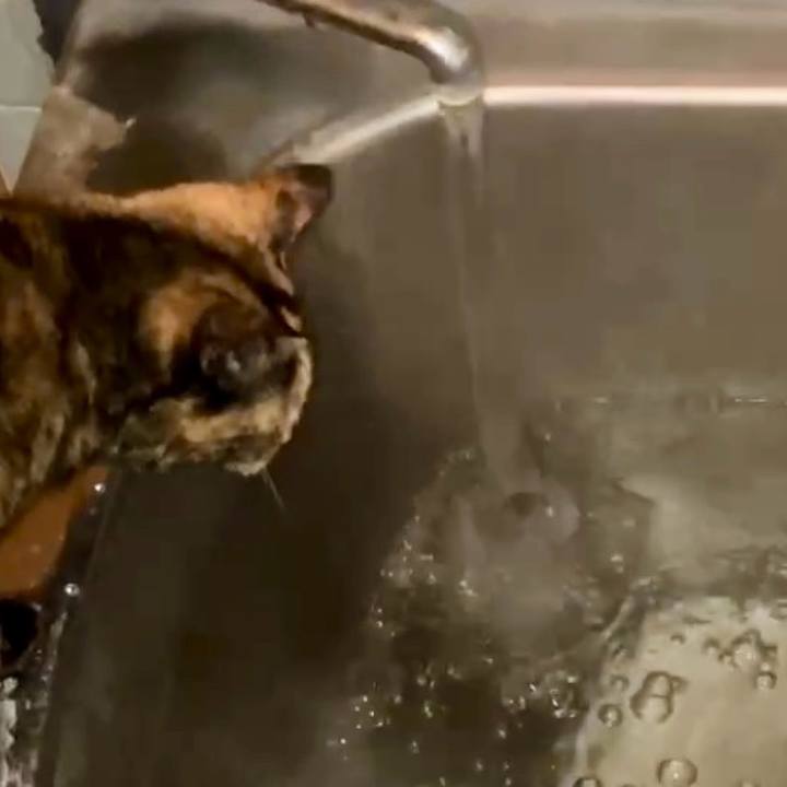 D7862f72 2f3e 49a3 9f38 128fc21c895c 1743449031845