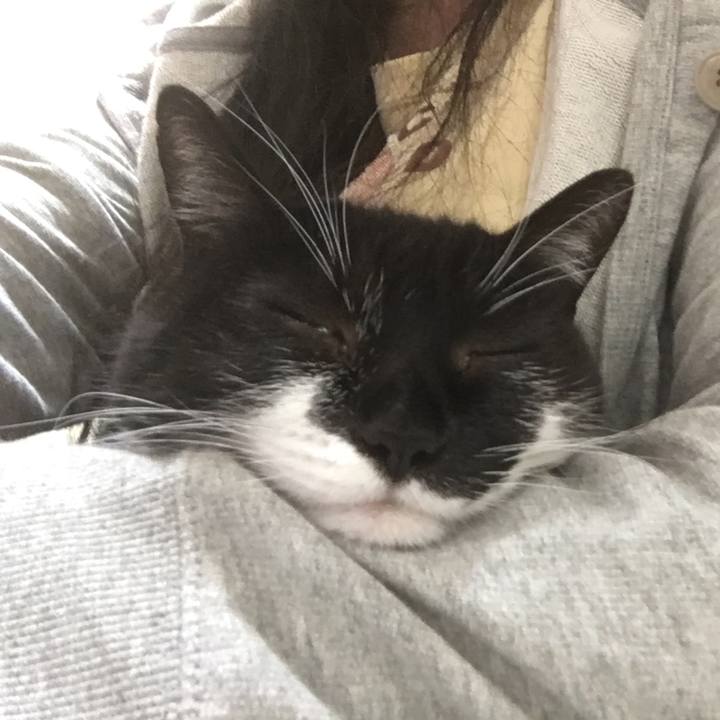 D7863152 6bc5 4c8e a3e0 896d7e6a8fb3 1510833379148