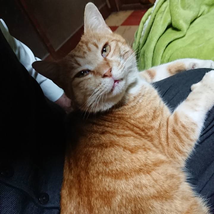 D78663b5 9072 496a aff8 15a0af8b3f3e 1583312731271