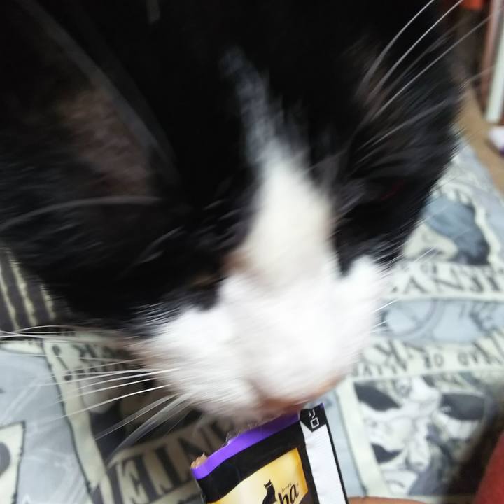 D786782c 787d 4f60 8e0d a208a90e5f1b 1573681994064