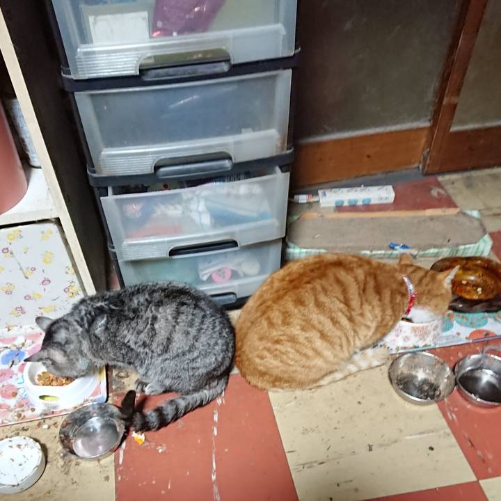 D786d1a5 b976 4f20 bf0c bb1ea7054191 1577824578974