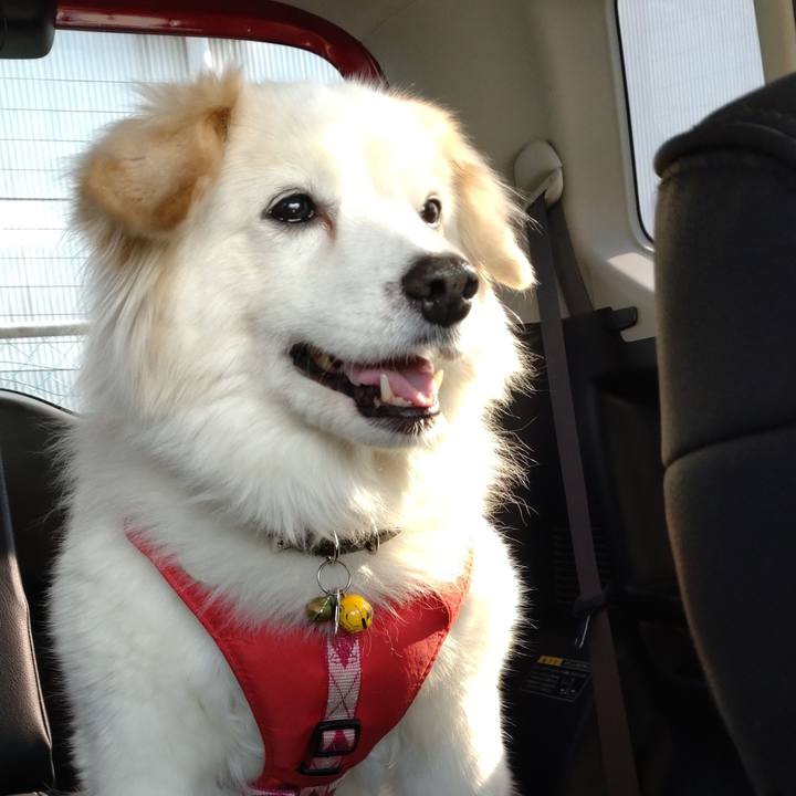 D786f10a 4d3f 41dd 9571 70ffa42d1340 1646547685167