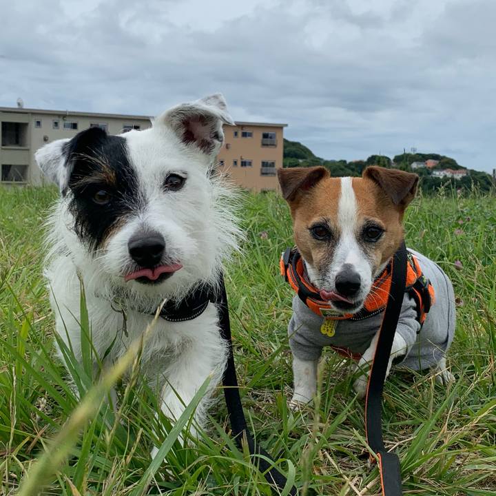 D786f829 6d36 4133 9dfd ed250c92b951 1559698511810