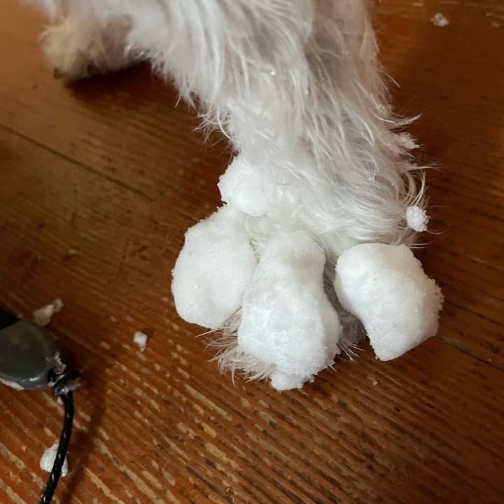 D7874d9b 8740 477a bd1d 3a42d8ed7001 1641145803019