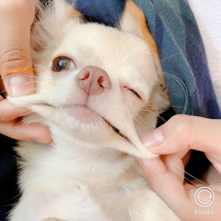 D78788df 2006 4b8a 948c 7944949a2179 1601167879606