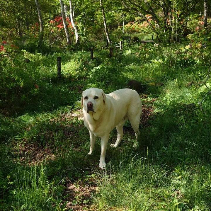 D7878c86 1122 4d9f b31e 6c3bacf83ce6 1717555787617