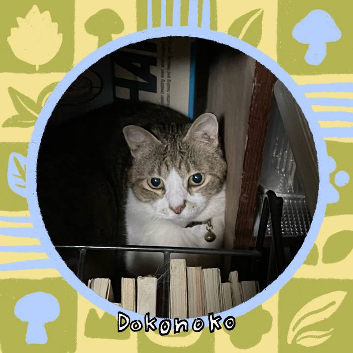 D787a172 6535 4705 80ea c351c864284b 1761226674276