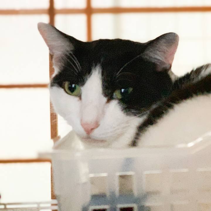 D787d1d4 b649 473a b9c8 9ec3b58b319b 1567212676348