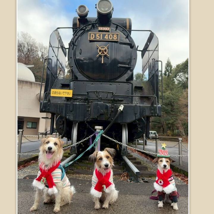 D787f6c8 118d 46b9 8d17 ad0ead68f691 1765792534145