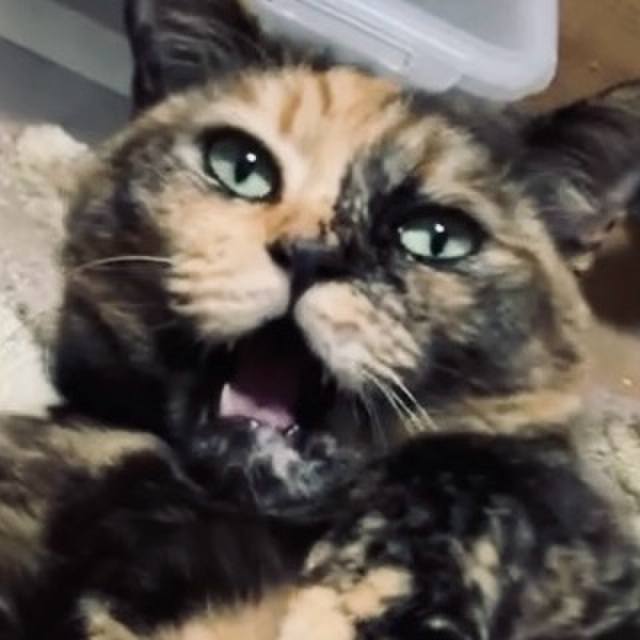 D787f9ce 490f 46d5 a24d 8a1b0b8d3e07 1734168306632