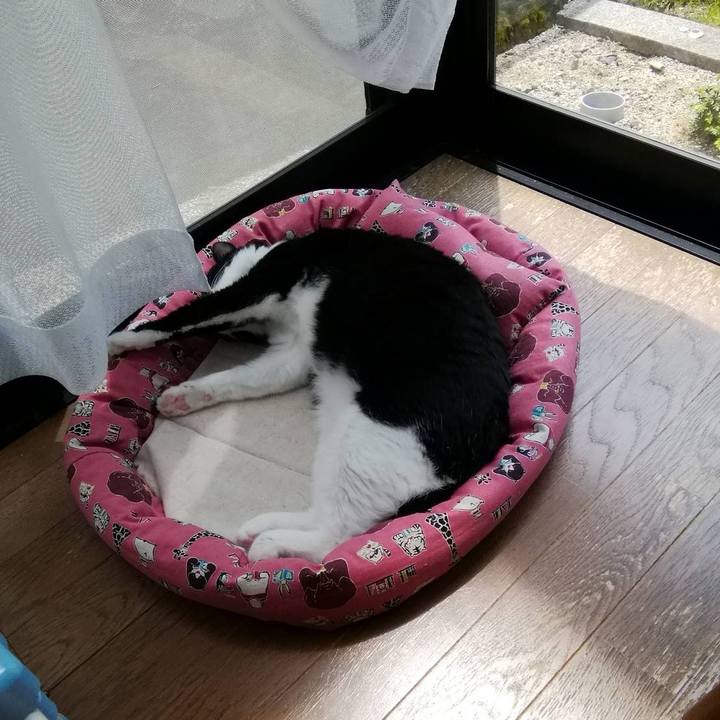 D7881a96 2da3 4394 9425 db2ccfa5aa9a 1562229168461