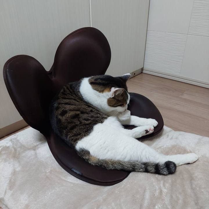 D7882021 adb3 4e05 a33b 3991eb28dd52 1740347335192