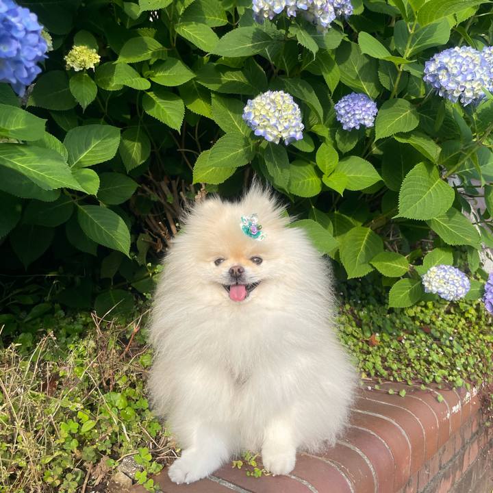 D7883ac4 4f3b 4d03 bf07 b49946c144a2 1747693467428