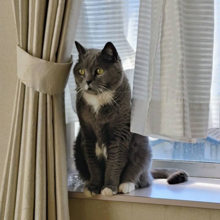 D78882d5 6db1 4486 b4f7 1c9fa92c6deb 1769875585266