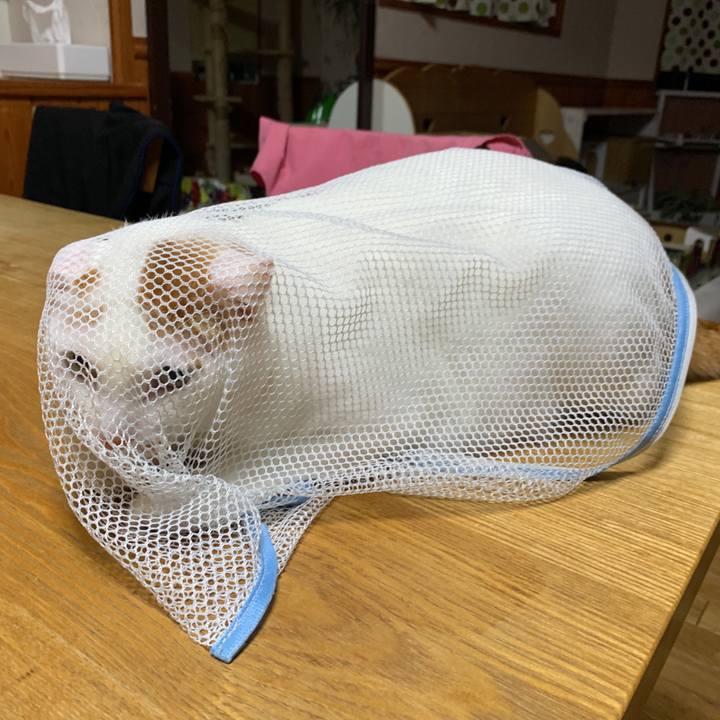 D788cd20 e267 4cf7 84c6 74640d4ddce0 1668692962432