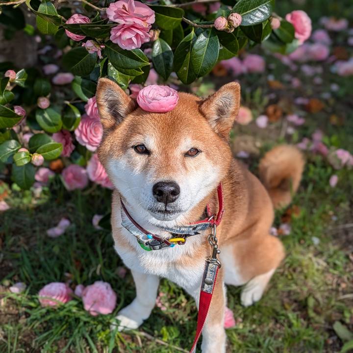 D788d062 fdfb 44ea 80ad db54fda3a62b 1744193273031