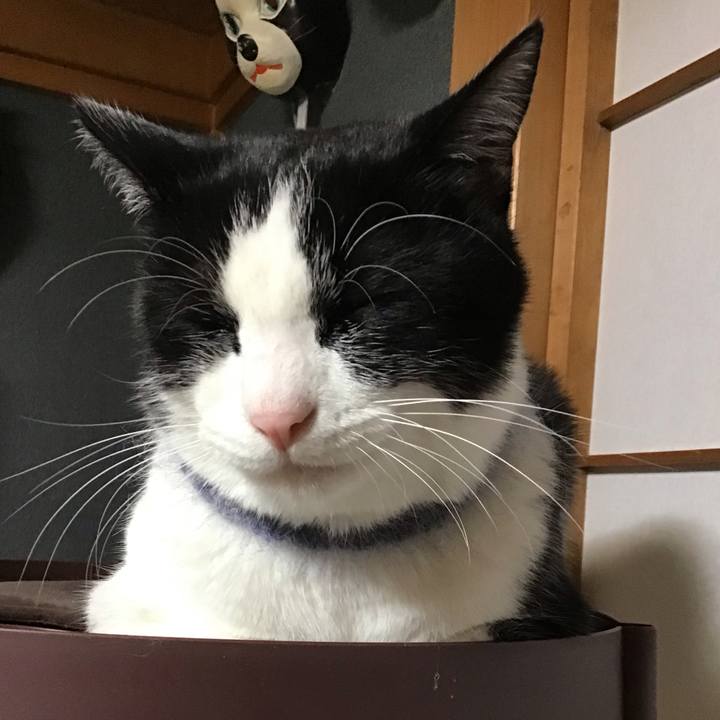 D788d290 b1e0 47f5 8d7a 5963d5814216 1671269246874