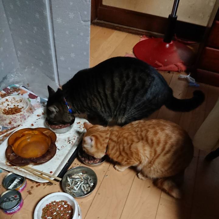 D788db1a c70c 477f 92d6 413919a2e538 1642711732748