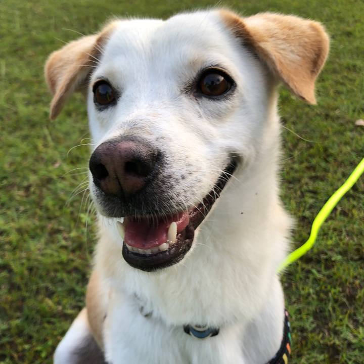 D789313f ed0b 4ade a5ca ec2427eb2df7 1623326727216