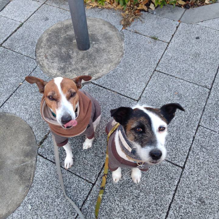 D7898bd2 a456 48f6 b0be 5d9ddd38b01e 1706049040173