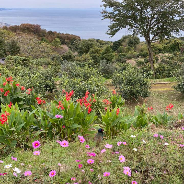 D7899b31 0828 4be1 ac00 d27144511cf8 1637060994779