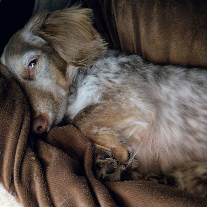 D789adc7 2375 4f97 99c9 3dc726292776 1769339558600