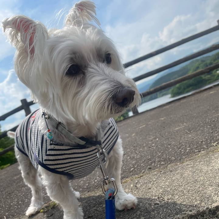 D789bf81 9865 48ea 919b 7d0d50cc8919 1747987773669