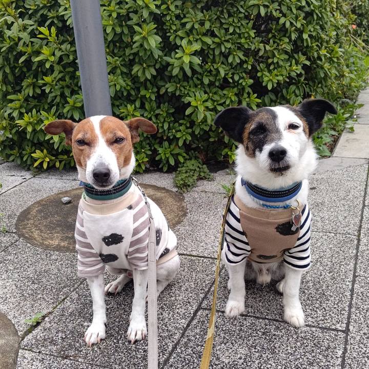 D789c3b1 f6e2 4933 949f ea009c0caca2 1712277327533