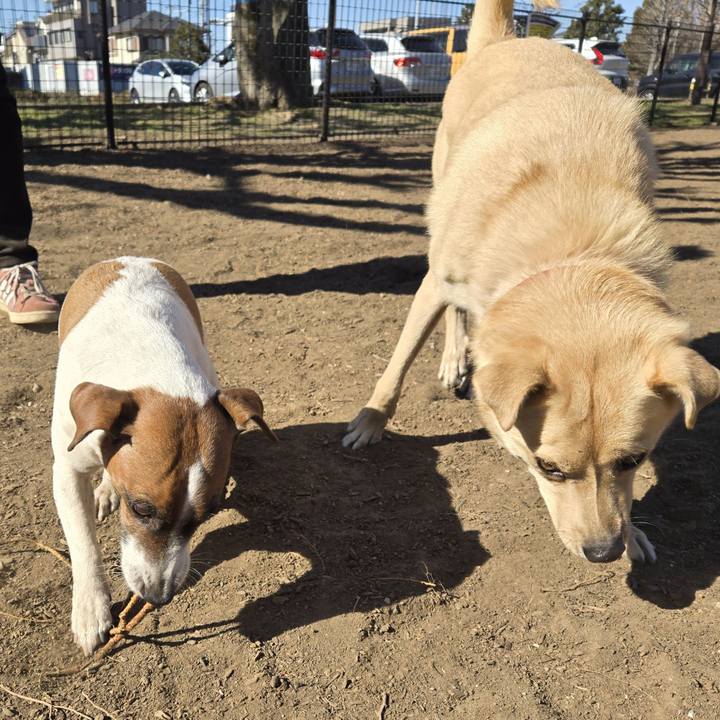 D789dce9 2036 40f3 a051 f22b309fcc36 1769834908588