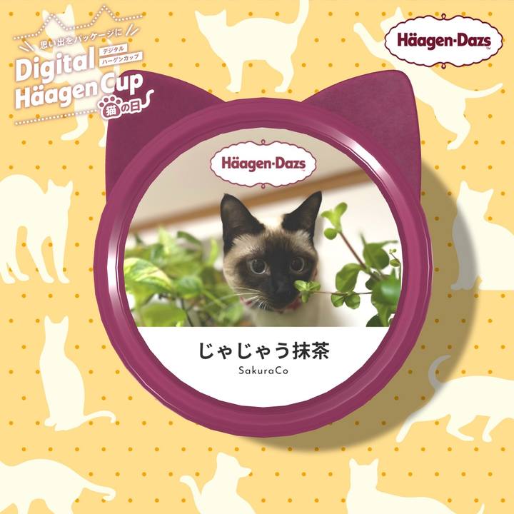 D789f59f 4f12 4277 8d76 71d37a0f851f 1708819387742