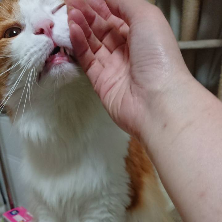 D78a6195 513d 4083 846c 895da5acb65c 1562588889781