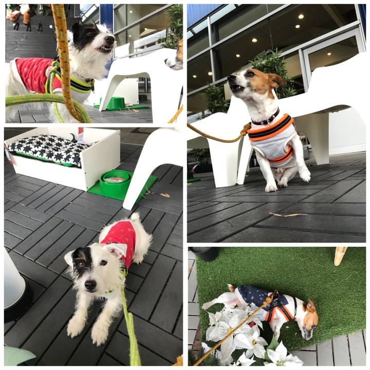 D78a63bc d384 4730 b94e 6fc7f776bbcb 1510979738373