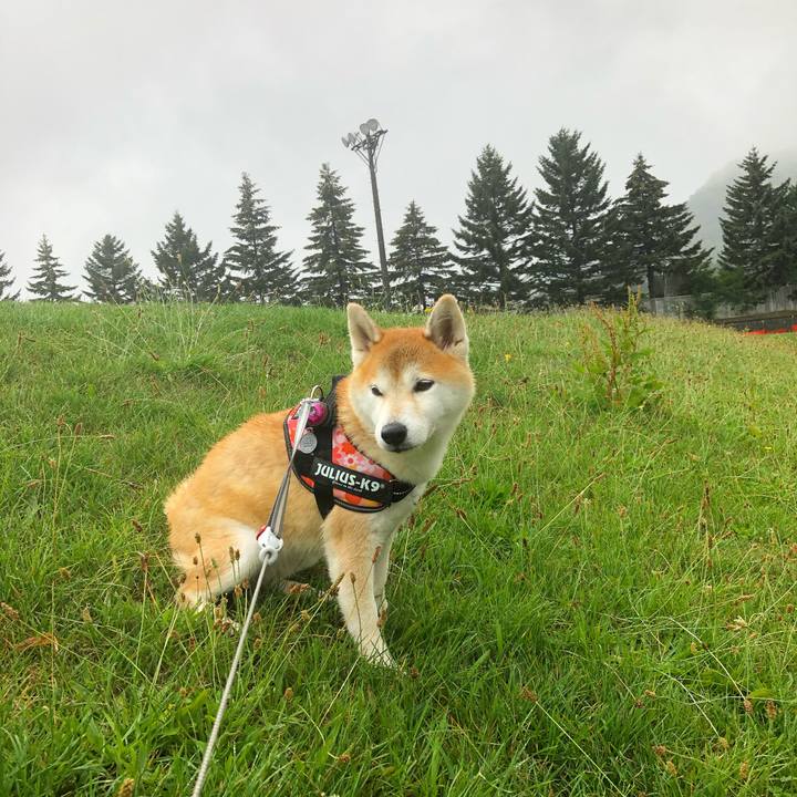 D78a7dc9 f0f2 4fea 9026 02f2de8f3ae7 1597899620582