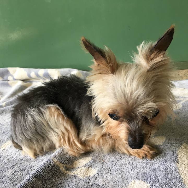 D78a9972 c136 4c25 b1cb 095c19396a7b 1570188603934