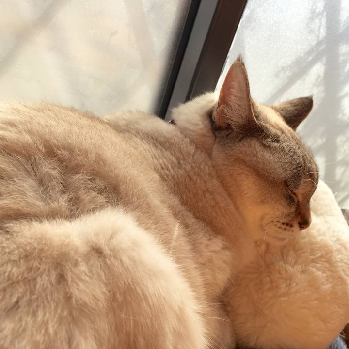 D78aaa04 de52 4bec a0c6 82cbb6b931bc 1548563292183