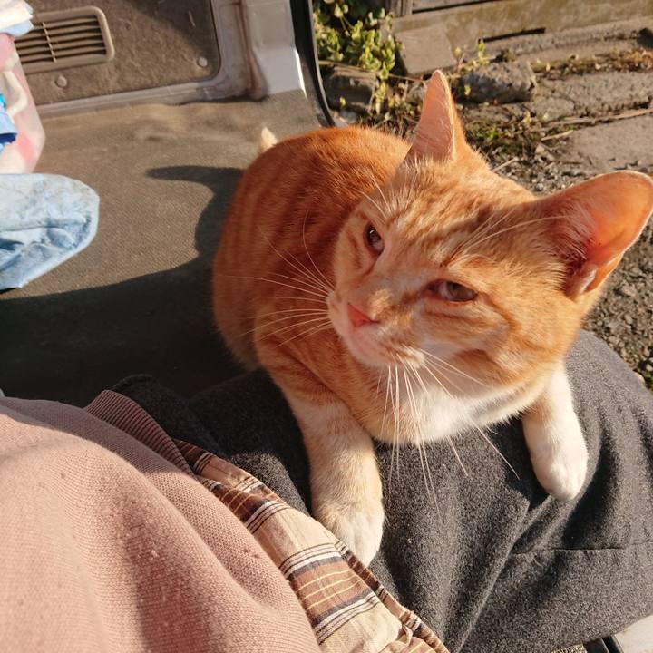 D78ab3b0 34f9 4dd3 b604 ec5e78e7d945 1586384455887