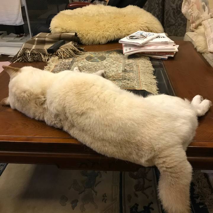 D78abe7c 3528 42a0 b54d 6d8e8599bbe7 1634184930533