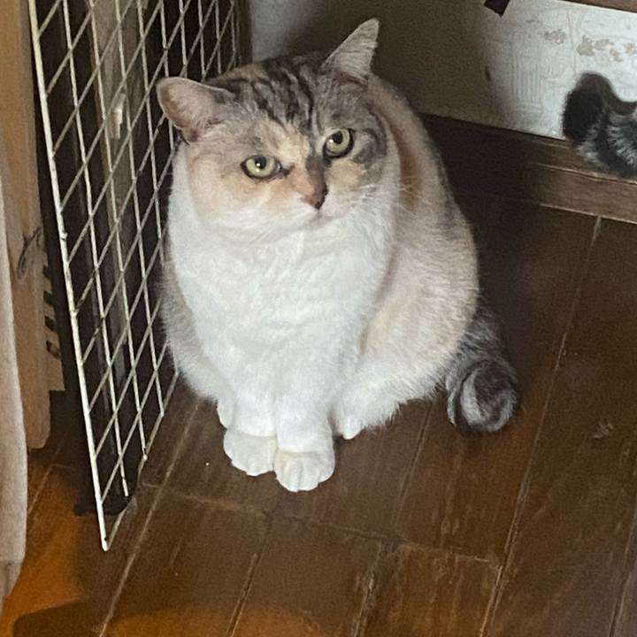 D78abf6e 39d9 4cdf a76e 40e7fc5e35d9 1745131127695