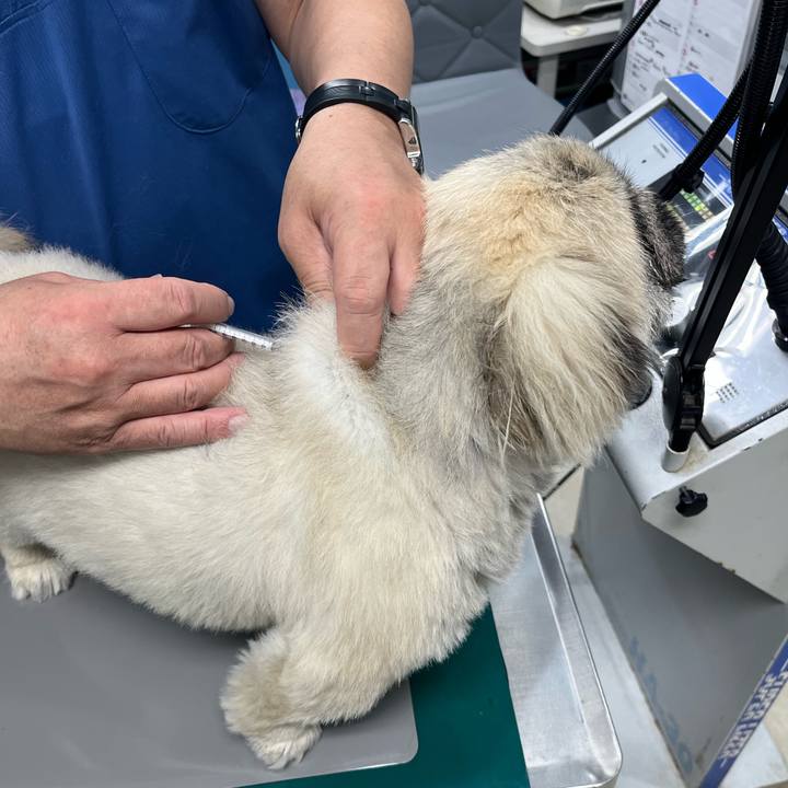 D78ac983 9e2f 4cf6 a301 7ae993cd6604 1743126254807