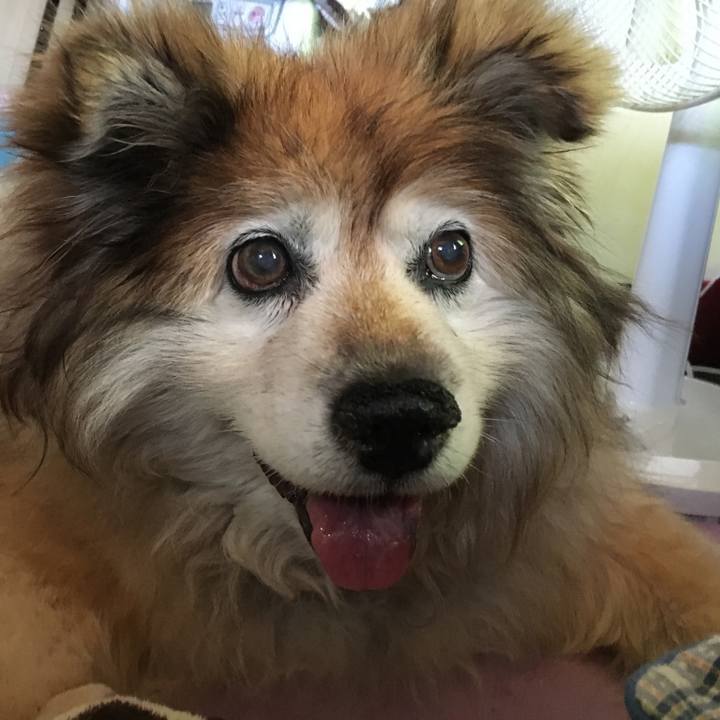 D78b09cd 085e 411e a5e6 3207e8d559a3 1570731314731