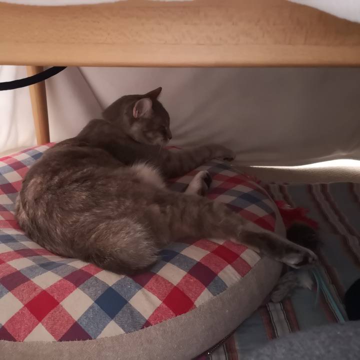 D78b1eb0 06fc 4424 8415 dd1c5fb03241 1585628269177